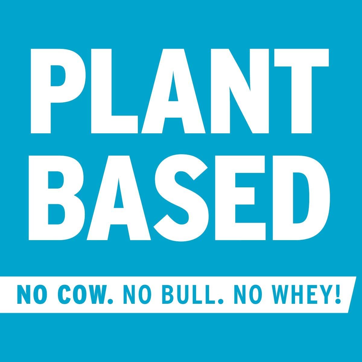 No Cow 素食蛋白粉，香草，22 克植物蛋白，可回收铝制容器和勺子，非乳制品，不含大豆，低糖，低净碳水化合物，无麸质，天然甜味，非转基因，犹太洁食