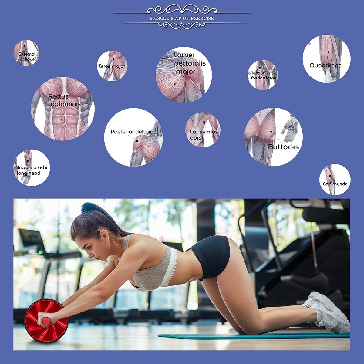 Ab Wheel Roller 家庭锻炼，用于腹部和核心力量训练的 ab 滚轮，用于家庭健身房健身的 ab 锻炼轮，适合初学者和高级水平-ab 滚轮套件
