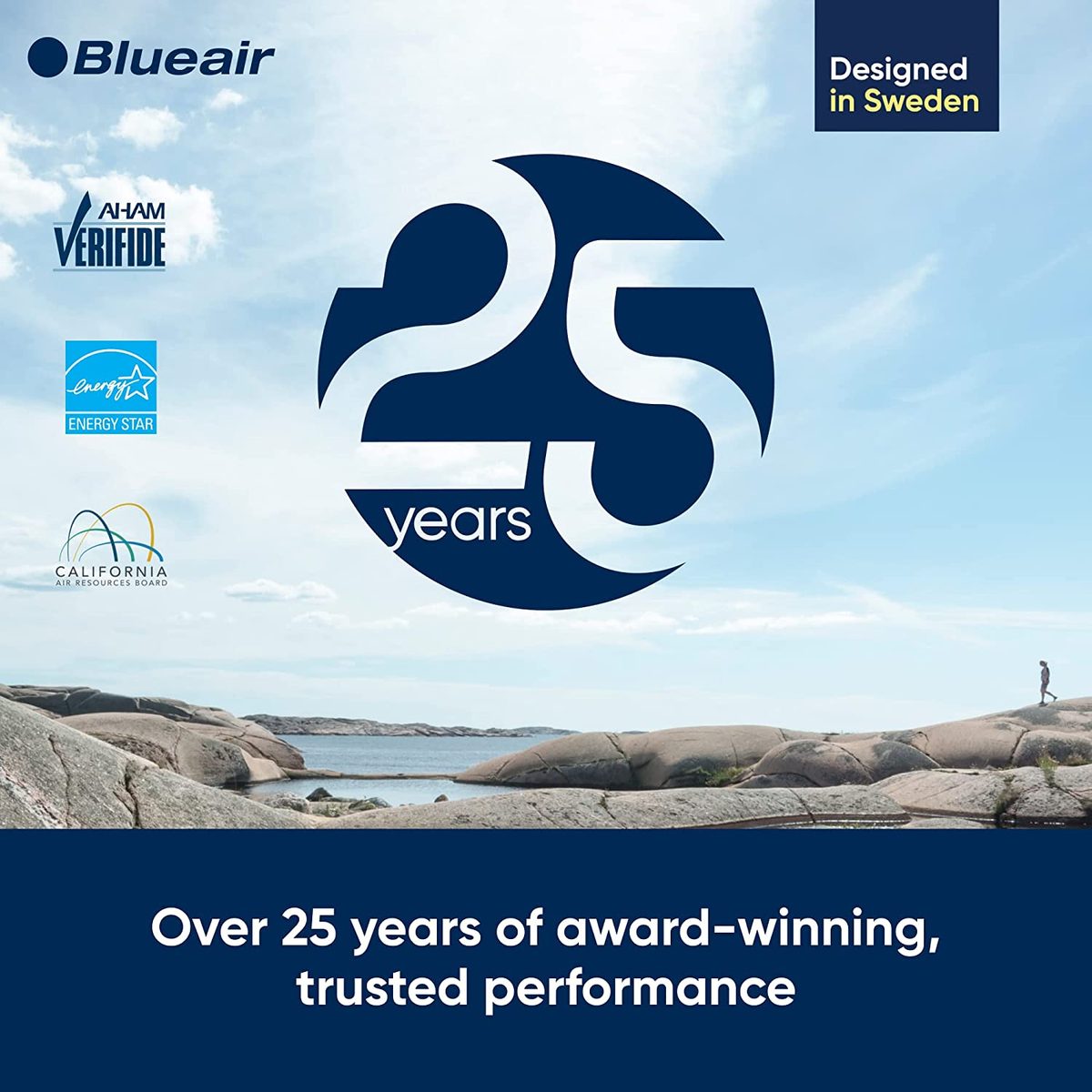 BLUEAIR 空气净化器大房间，桌面空气净化器适用于灰尘宠物皮屑烟雾霉菌花粉细菌病毒过敏原，去除异味，家庭卧室客厅，Alexa，自动，HEPASilent，DustMagnet 5410i